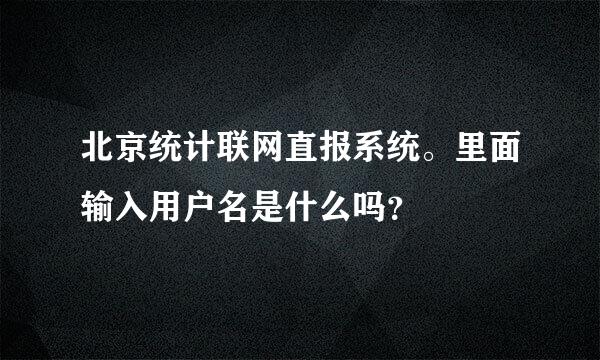 北京统计联网直报系统。里面输入用户名是什么吗？
